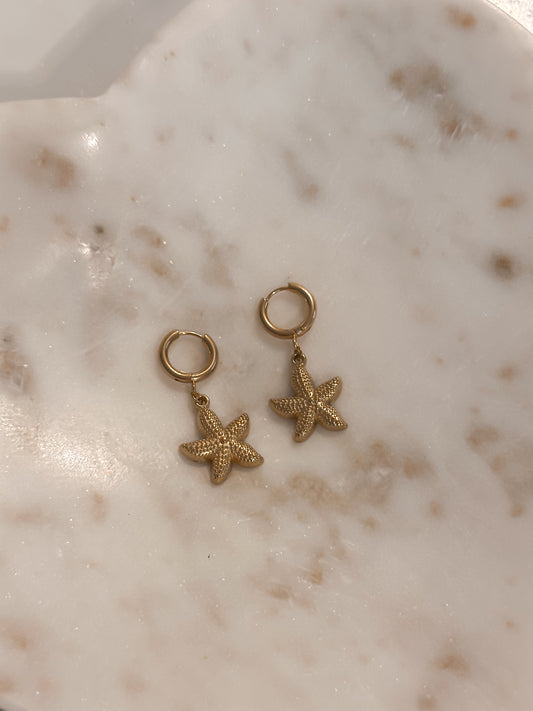 Starfish Huggies