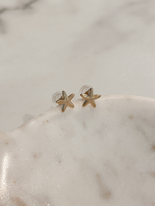 Starfish Studs